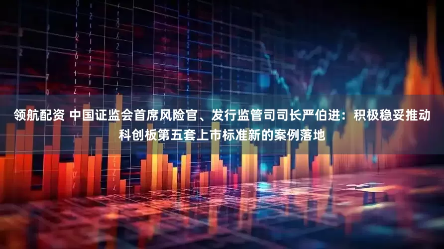 领航配资 中国证监会首席风险官、发行监管司司长严伯进：积极稳妥推动科创板第五套上市标准新的案例落地