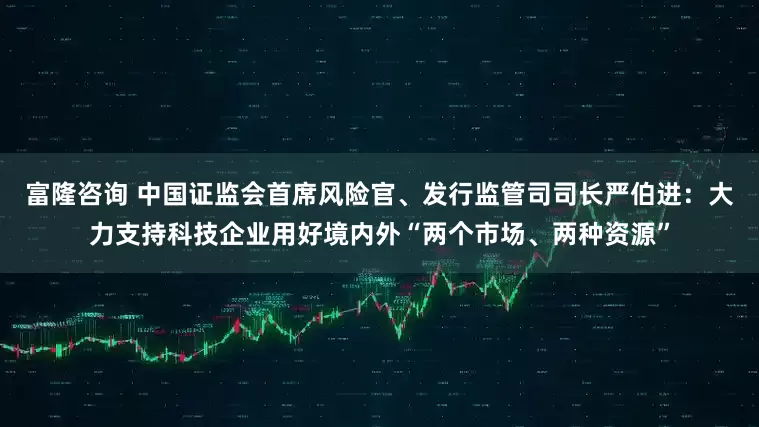 富隆咨询 中国证监会首席风险官、发行监管司司长严伯进：大力支持科技企业用好境内外“两个市场、两种资源”