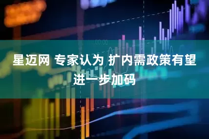 星迈网 专家认为 扩内需政策有望进一步加码