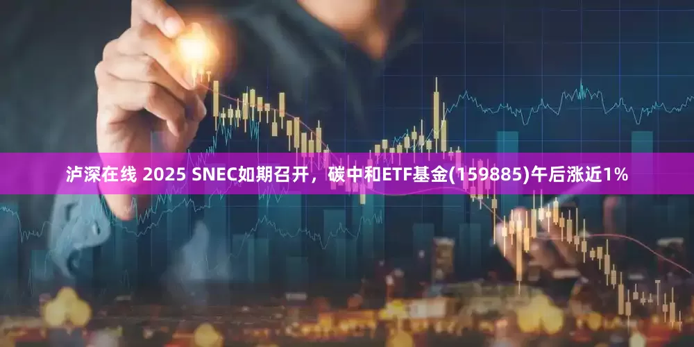 泸深在线 2025 SNEC如期召开，碳中和ETF基金(159885)午后涨近1%