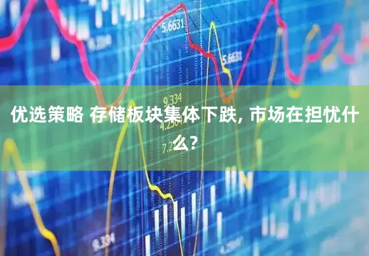优选策略 存储板块集体下跌, 市场在担忧什么?